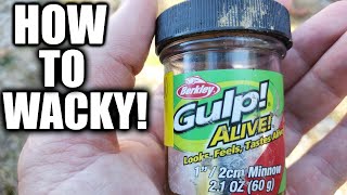 How to WACKY RIG a GULP MINNOW  NEW WAY to Fish with Gulp [upl. by Otreblif]