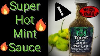 Super Hot Mint Sauce with Super Hot Chilli Peppers [upl. by Jeraldine]