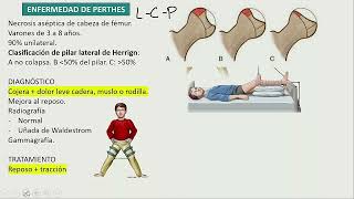 Osteocondrosis enf de perthes epifisiolisis femoral luxacion [upl. by Aniela346]