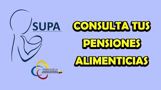 Consulta tus Pensiones Alimenticias – SUPA [upl. by Pesvoh]