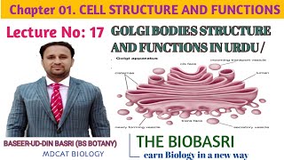 GOLGI BODIES STRUCTURE AND FUNCTIONSIN URDU HINDI  GOLGI APPARATUS [upl. by Wagstaff819]