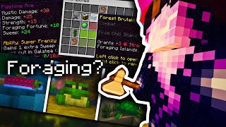 Where is the foraging update Hypixel Skyblock [upl. by Singhal]