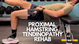 How to Rehab Proximal Hamstring Tendinopathy for runners [upl. by Ecirtam354]