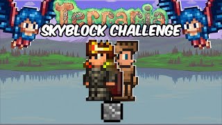 Terraria One Block Challenge WMods [upl. by Azzil]