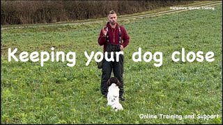 Teaching your dog to hunt close quotGundog basics seriesquot [upl. by Bala]