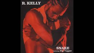 R Kelly  Snake Instrumental [upl. by Eelsha432]