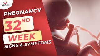 8th Month Pregnancy  Important Things To Know in 32 weeks Of Pregnancy  Mylo Family [upl. by Adrianne525]