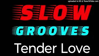 Force MDs  Tender Love Extended Version [upl. by Anoed]