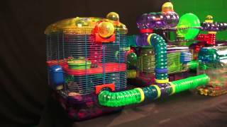 Gerbil Cage Kaytee CritterTrail Village for Gerbils Mice or Hamsters includes Burrowing Maze [upl. by Ahsatniuq660]