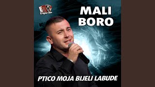 Ptico moja bijeli labude Live [upl. by Wilt133]