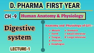 Anatomy and physiology of GIT  CH9  Digestive system  HAP  DPharm first year [upl. by Anidem]