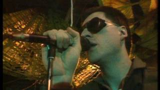 Front 242  No Shuffle Live 1985 [upl. by Tymothy]