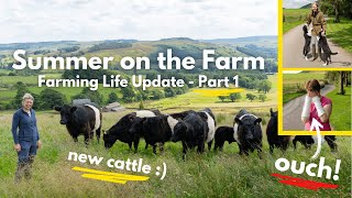 Summer on the Farm  New Cattle Broken Bones and more [upl. by Cohin]