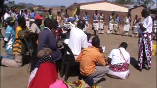 Dr Tsiane Ga Malemome Part 1 Phekolo ya meropa le kosha [upl. by Alvin883]