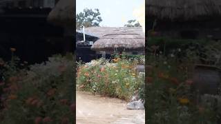 Thatched House 🏠 Village trip culture [upl. by Nicholle]