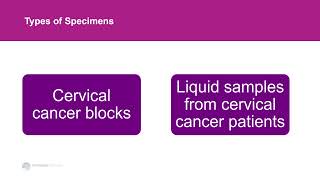 Introduction to HPVNegative Cervical Cancers and Precancers [upl. by Blayne]