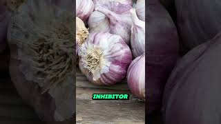 How Garlic Can Lower Blood Pressure [upl. by Uwton]