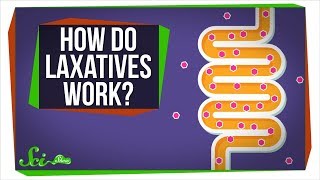 How Do Laxatives Work [upl. by Ilac366]