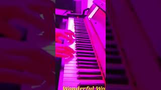 Wonderful World Brahms Lullaby and Ode to Joy on Piano 1 [upl. by Enileuqaj]