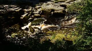 Bolton Strid low water [upl. by Alletsyrc]