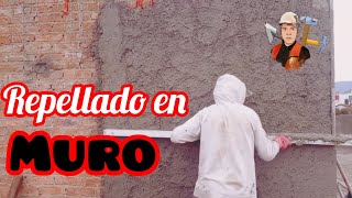 REPELLADO EN MURO ENJARRE APLANADO [upl. by Notserp]