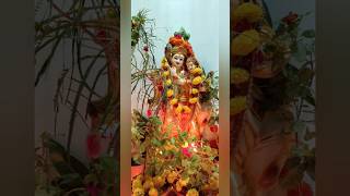 Ksheerabdhi Dwadashi Pooja karthikamasam dwadashi pooja trending viralvideo [upl. by Minna649]