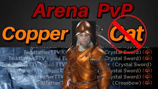 Copper Cat Fighter Carries In Arena  Dark and Darker PvP [upl. by Enelyt12]