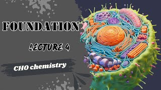 Lecture 4 CHO chemistry  GAGS  Proteoglycans  Glycoproteins  Dr Adham Saleh [upl. by Kirch]