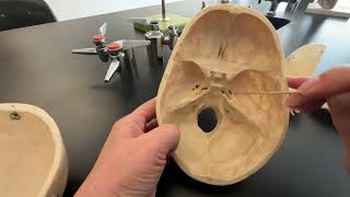 Skull Sphenoid and Ethmoid Bone and their bone markings [upl. by Nitza43]