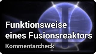 Funktionsweise eines Fusionsreaktors • Tokamak vs Stellarator • Kommentarcheck  Hartmut Zohm [upl. by Ientruoc]