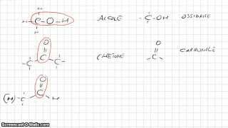 Chimica Organica  Gruppi funzionali parte 1 [upl. by Sathrum373]