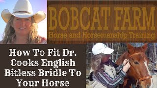 How to fit Dr Cooks English Bitless Bridle to your horse [upl. by Melliw]