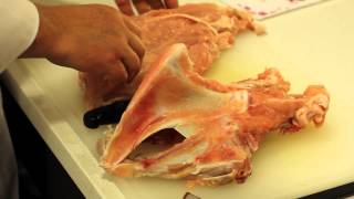 Turkey Breast Butchery Video Demo [upl. by Zashin712]