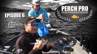 Perch Pro  EPISODE 6  The Next Level of Perch Fishing  Kanalgratisse [upl. by Kellene]