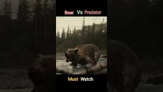 Must Watch Prey Movies Scene  Bear Chase 2022 Predator 5 predator shorts viral [upl. by Dixie]