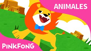 ¿Te Casas Conmigo  Animales  PINKFONG Canciones Infantiles [upl. by Adorne993]