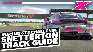 Snetterton 300  davecamyt iRacing Porsche GT3R Track Guide [upl. by Irrahs]