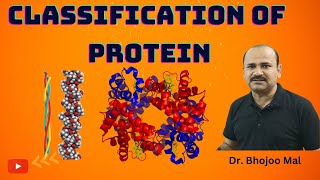 Classification of Protein  Class 11 biology  by Bhojoo Mal [upl. by Adok]