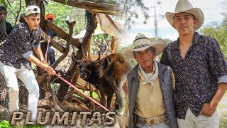 ¡LA VIDA DE OSMAR ROJAS quotEL PLUMITAS DE HUAJUAPANquot UNA PROMESA DEL JINETEO EN OAXACA [upl. by Beverlee571]