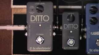 TC Electronic Stereo Ditto Looper Pedal Demo [upl. by Gillan674]