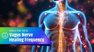 Vagus Nerve Healing Frequency  Reduce Pain and Inflammation with 396 Hz Frequency [upl. by Priest238]