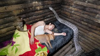 While Sleeping a Large Python Attacks and Prepares to Constrict Huyen P2  Series I [upl. by Rora]