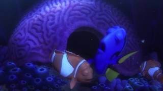 Finding Dory  Scene After Credits 1080p [upl. by Harwin]