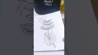 pisum sativum plant drawing ll drawing painting art shorts comments below what I drowning next [upl. by Yruama89]