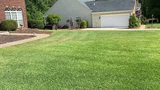 Zoysia Grass Seed Season 3 Video 3 [upl. by Gottlieb]