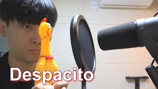 Luis Fonsi  Despacito Chicken Band Ver Cover by Big marvel [upl. by Buchheim]