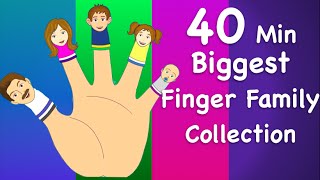 Finger Family Collection  NonStop 40 Minutes  Biggest Collection of Finger Family For Children [upl. by Ballman]