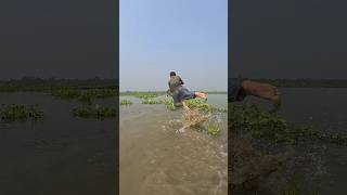 Amazing Rural Polo Fishing video✅polo fishingvillageboy fishingmethods fishingtipsandtechniques [upl. by Hamas]