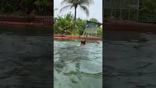 Treetop Adventure Farm Sylhet Swimming [upl. by Cynde]