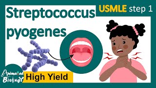 How Strep Throat Spreads Health Disorder  Preventive Care  Health and Wellness shorts [upl. by Gilus]